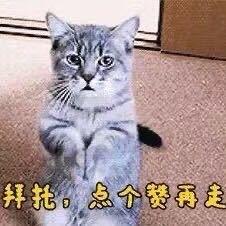 九 月