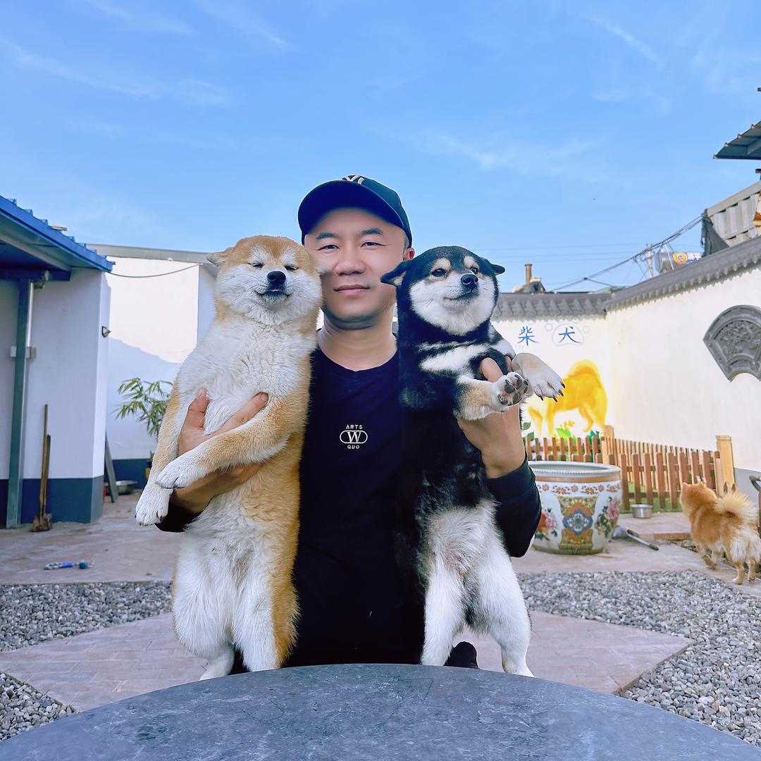 咚咚柴犬繁育