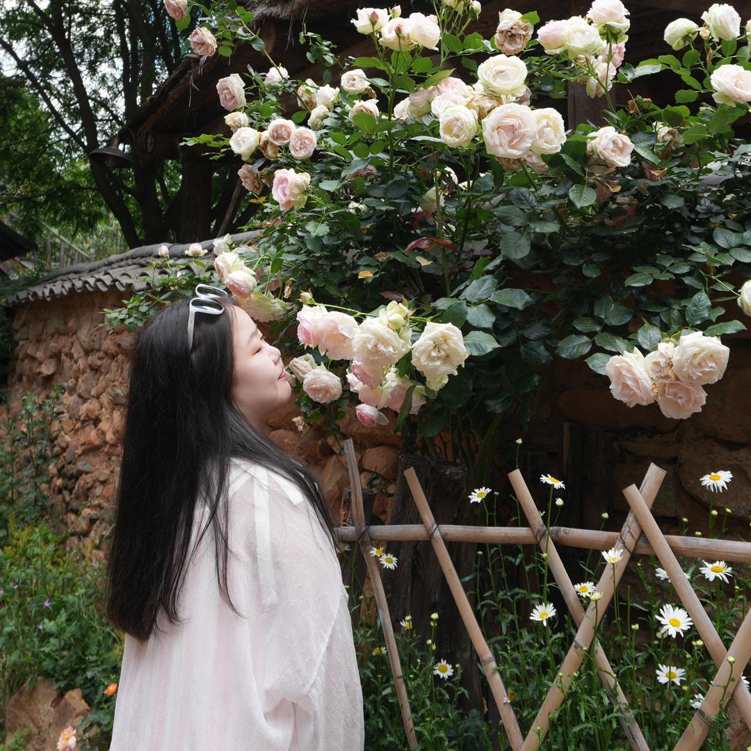 迟早会瘦的糊糊
