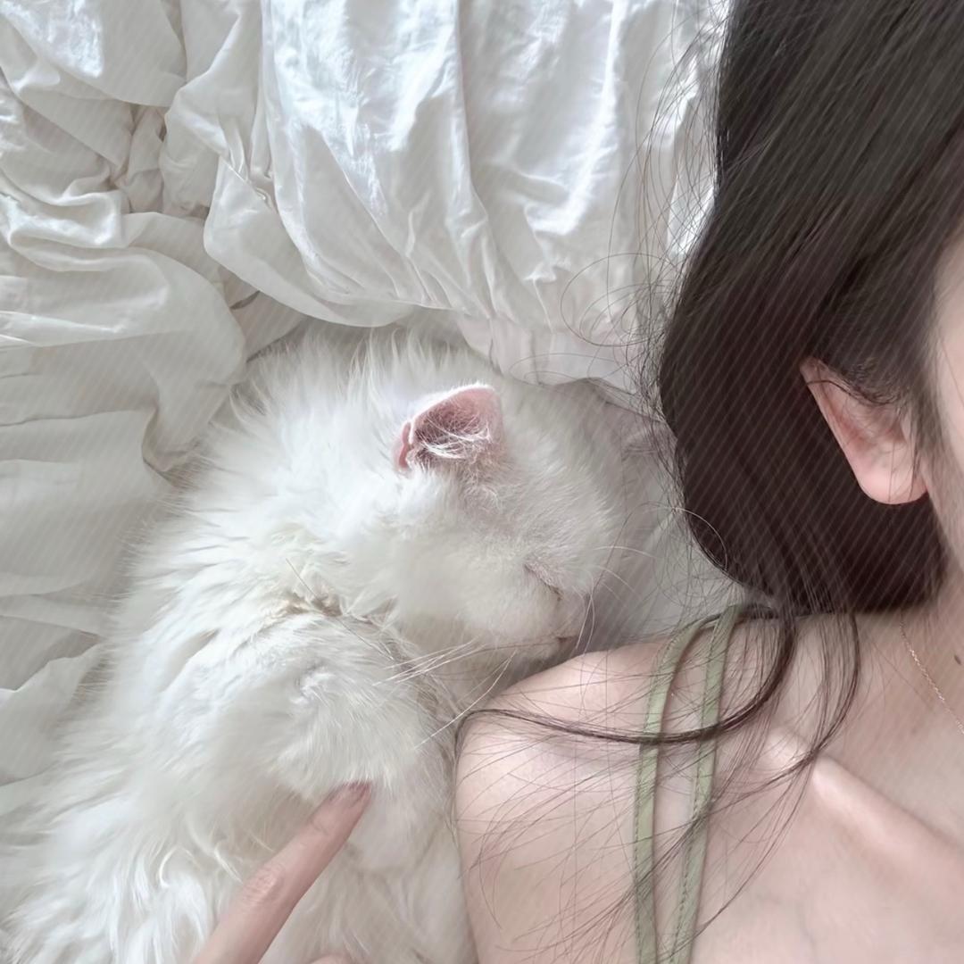 小羊宝.