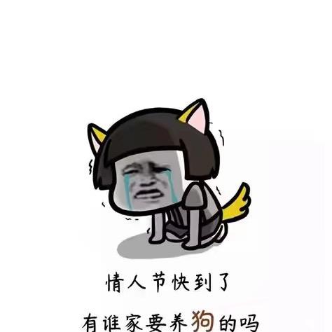 阿，秀茂