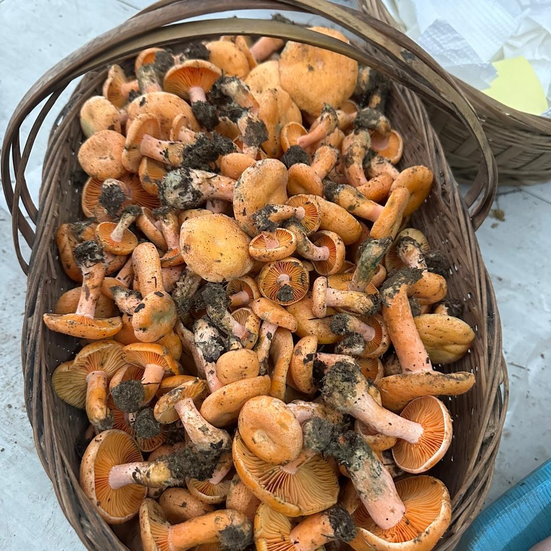 山涧美味农副产品经营部