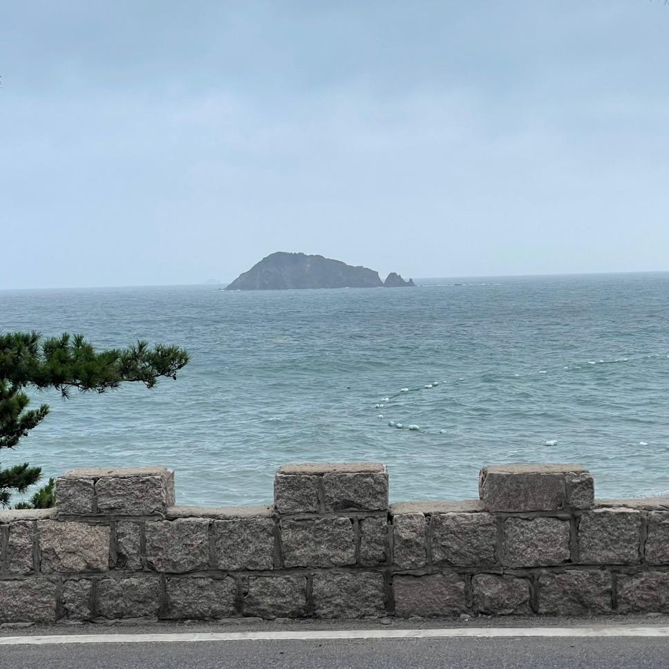 左左右右