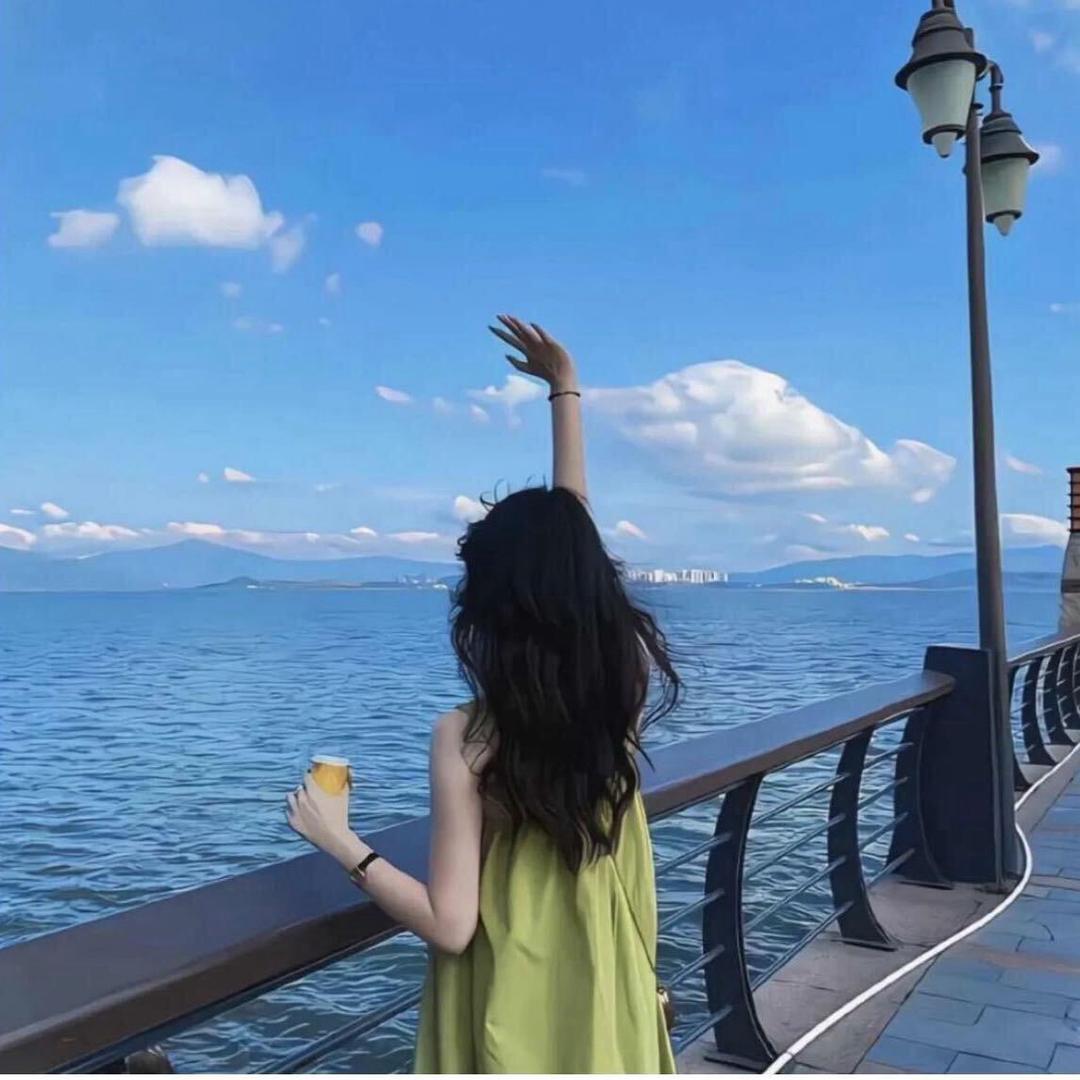 晓晓y