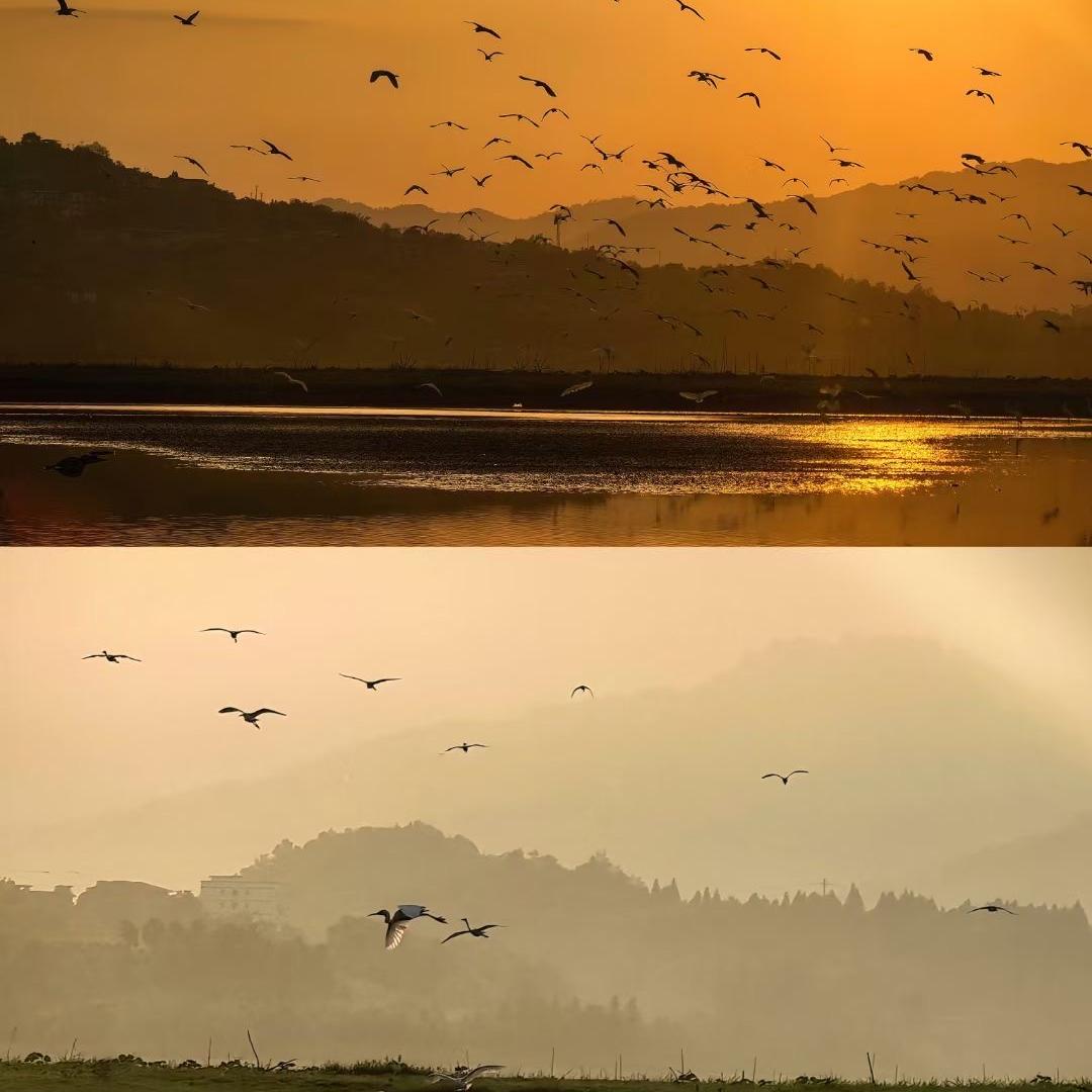 长沙雨花区恢瑟悦百货商行（个人独资）