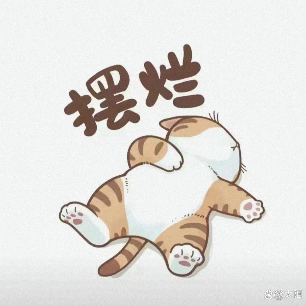 练教练临港考场