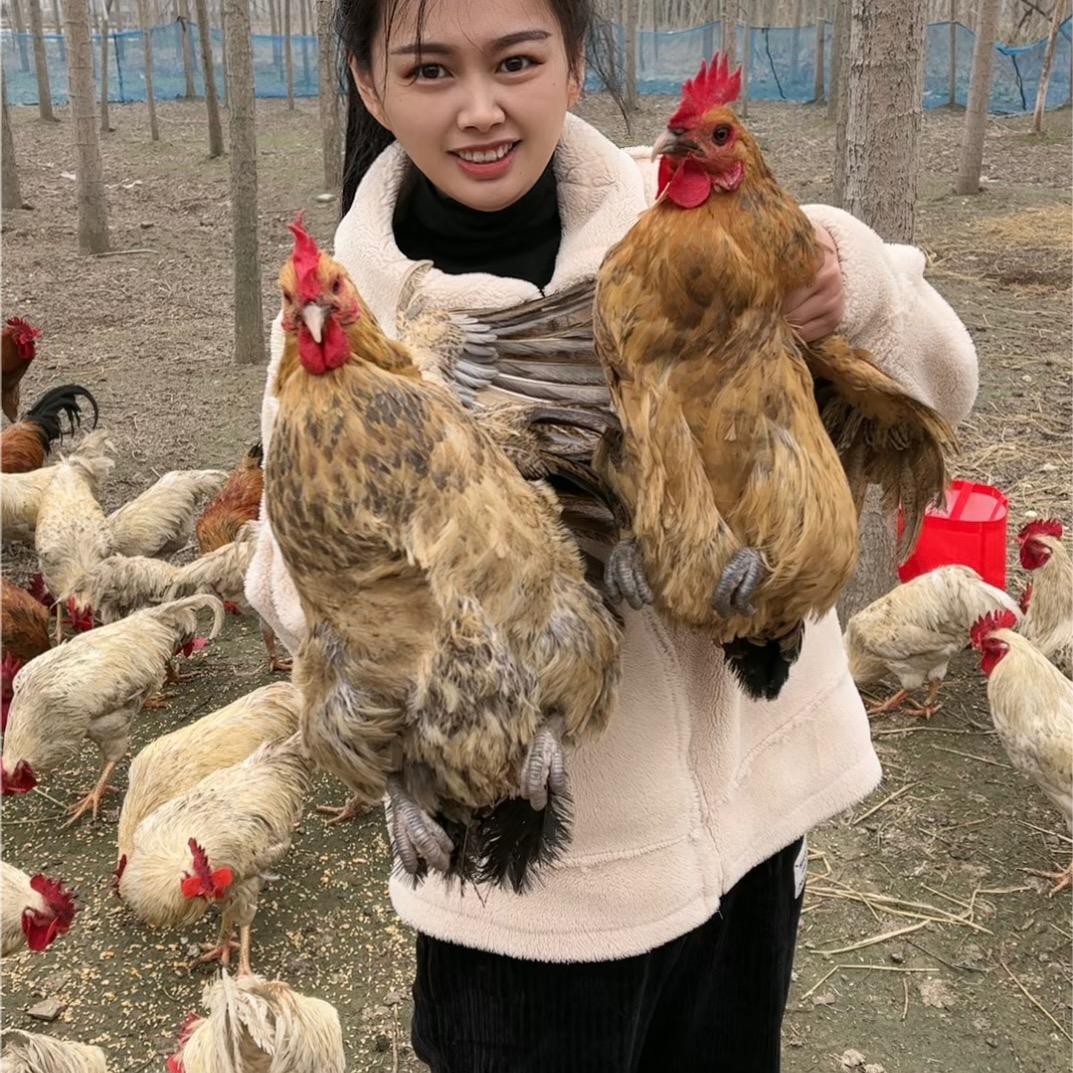 娜娜家土鸡