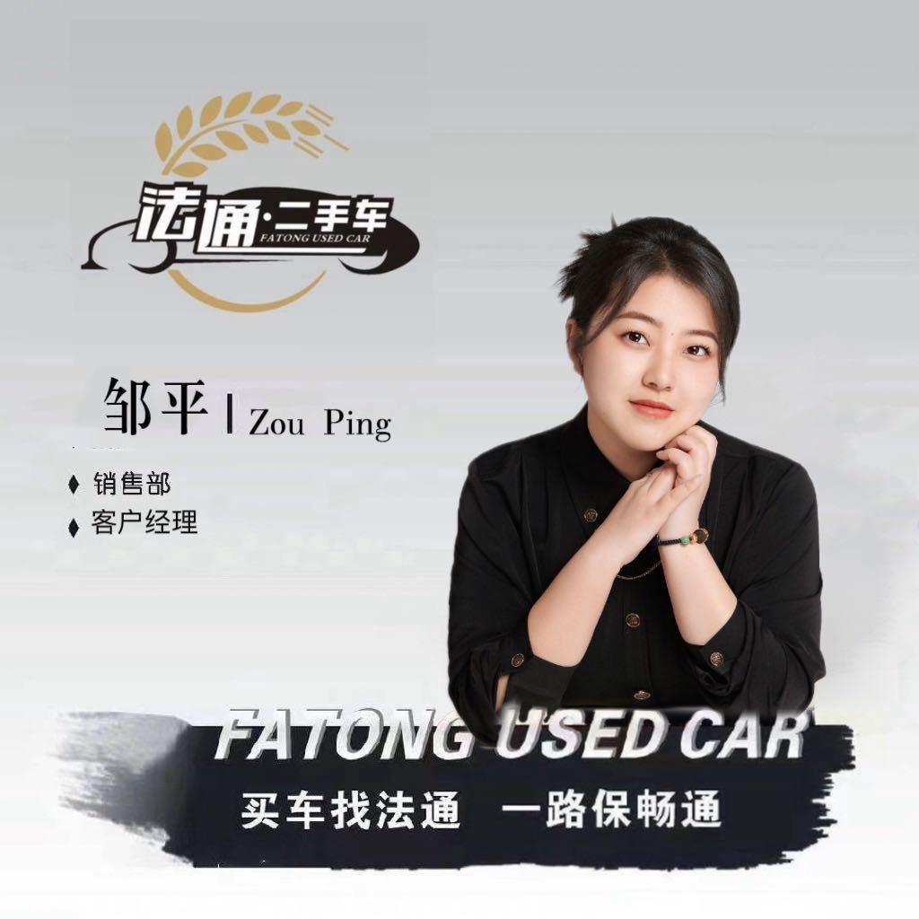 法通二手车-平平