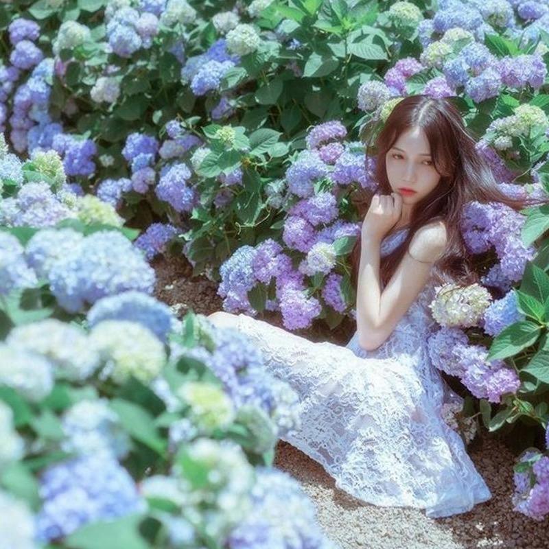 小颜花园