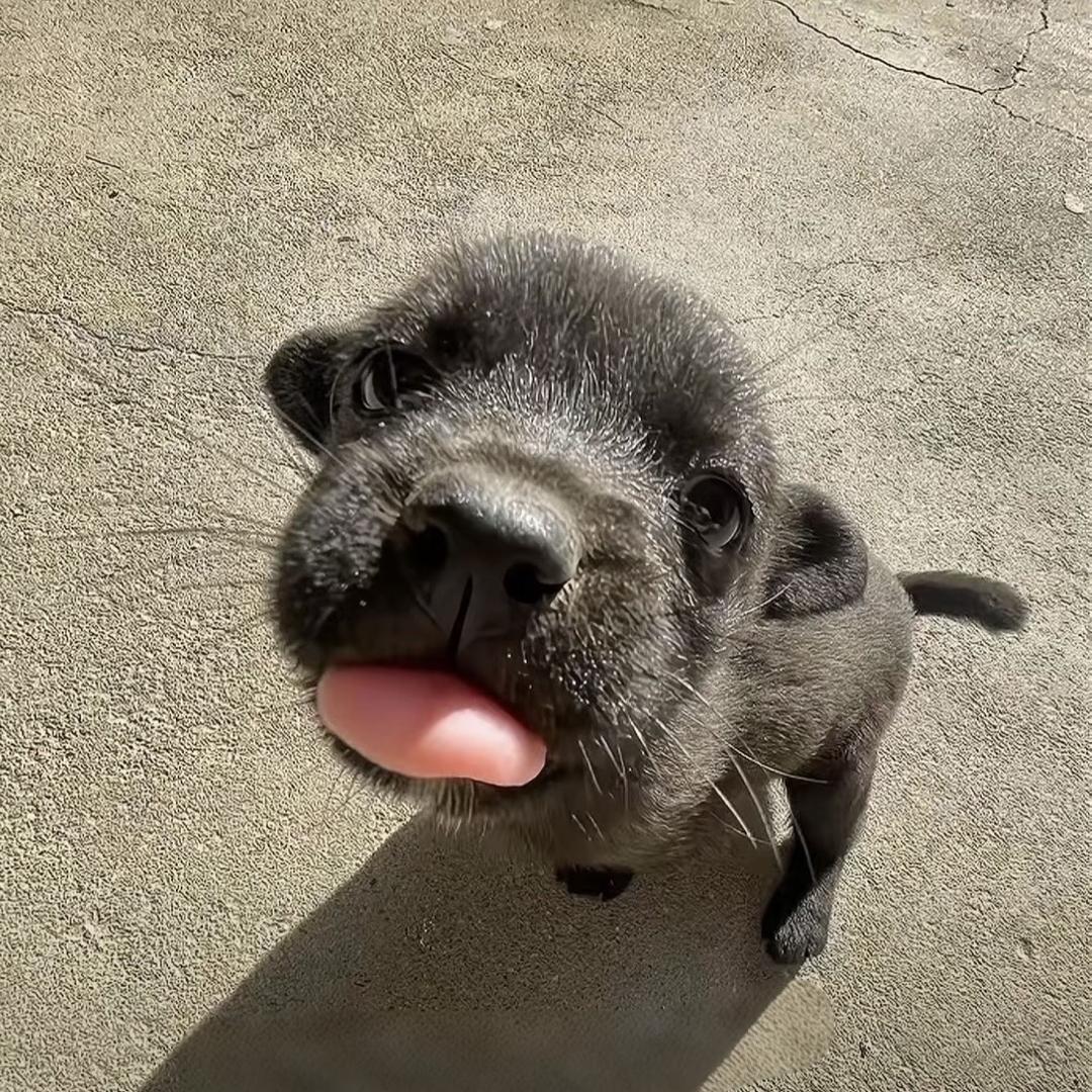 AAA土特产批发