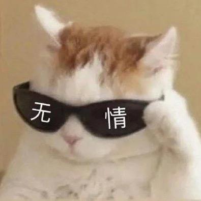 小齐很会穿