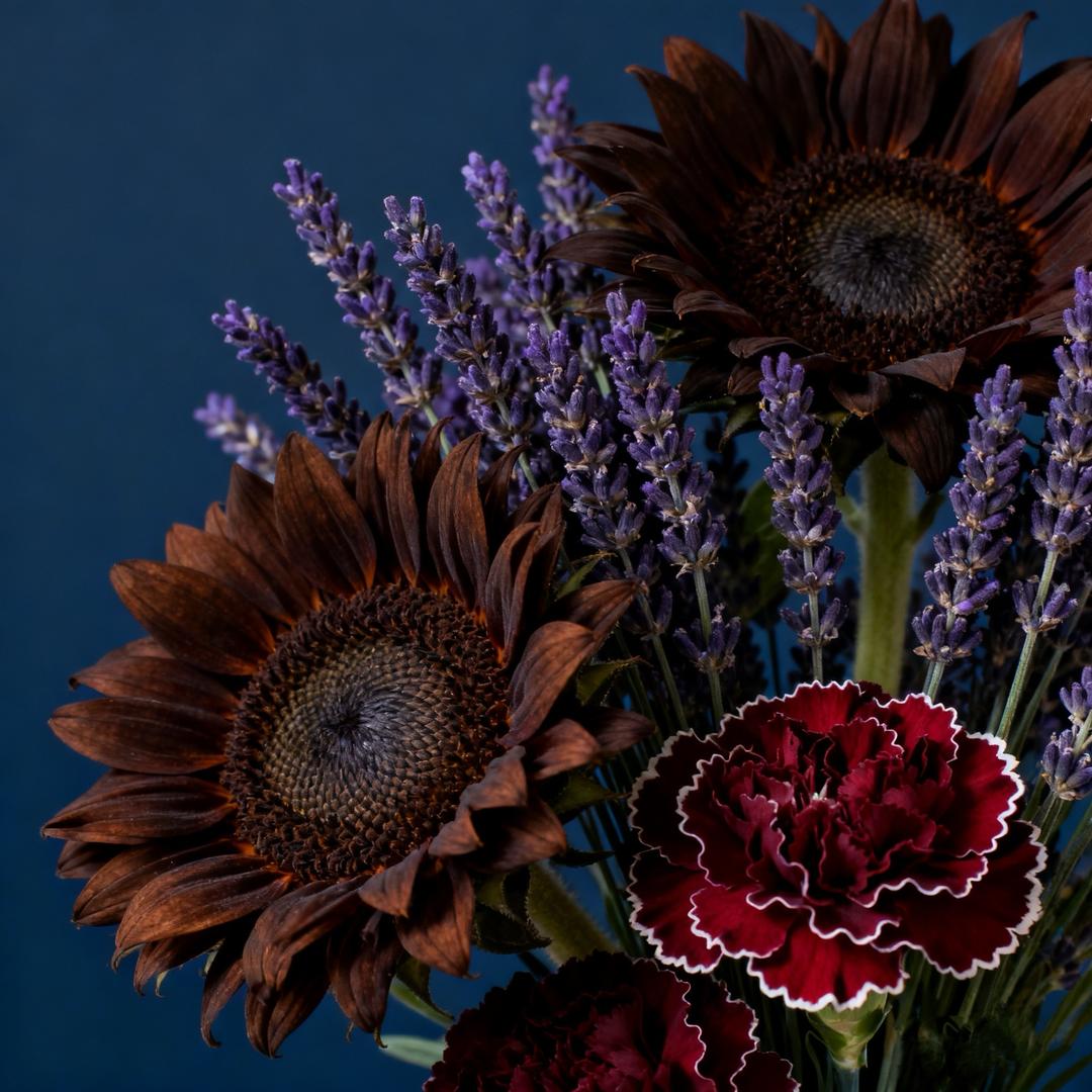 J- A简爱/献县花店