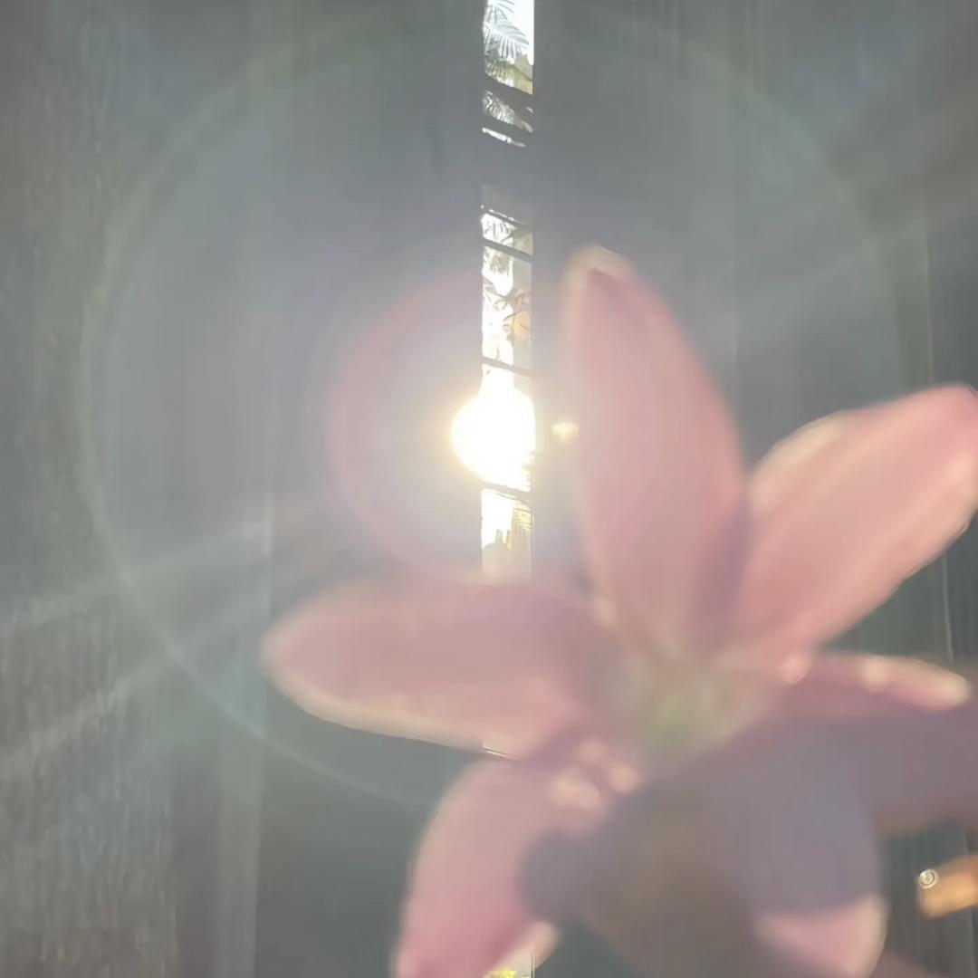 天波湖水产