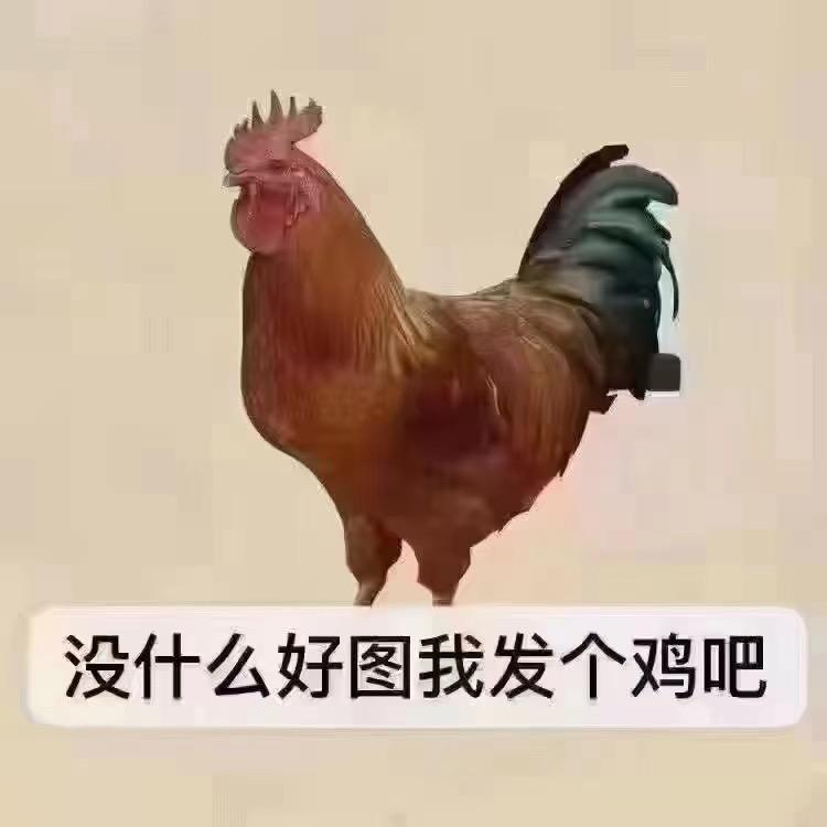 鼠妞子