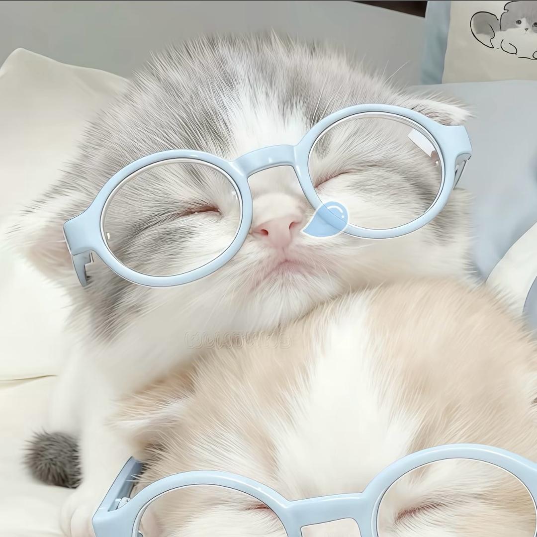 小冰倦（见过蔡徐坤