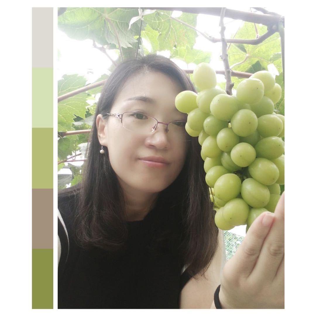 泽桑果园葡萄