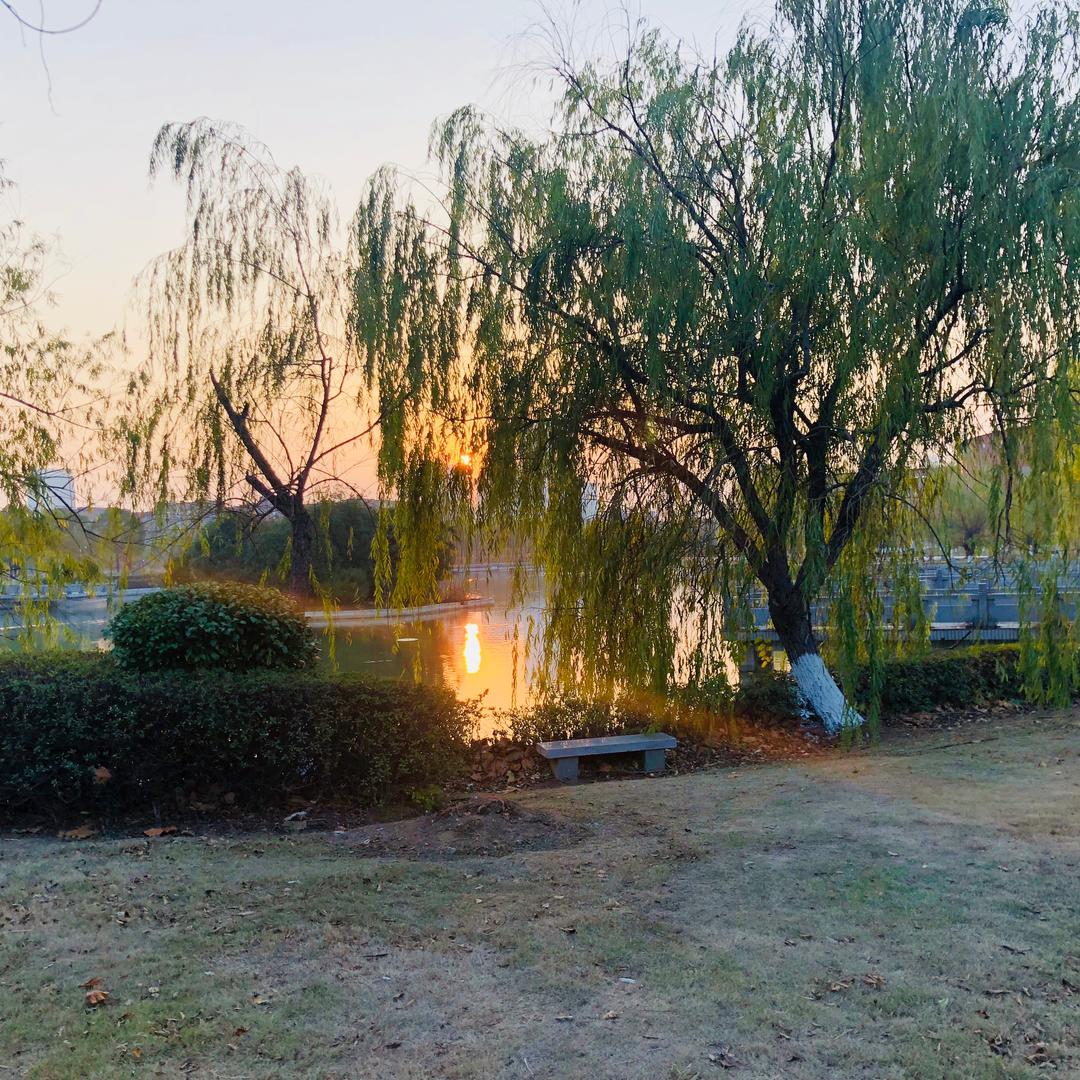 今天开始考研打卡（6月15日）