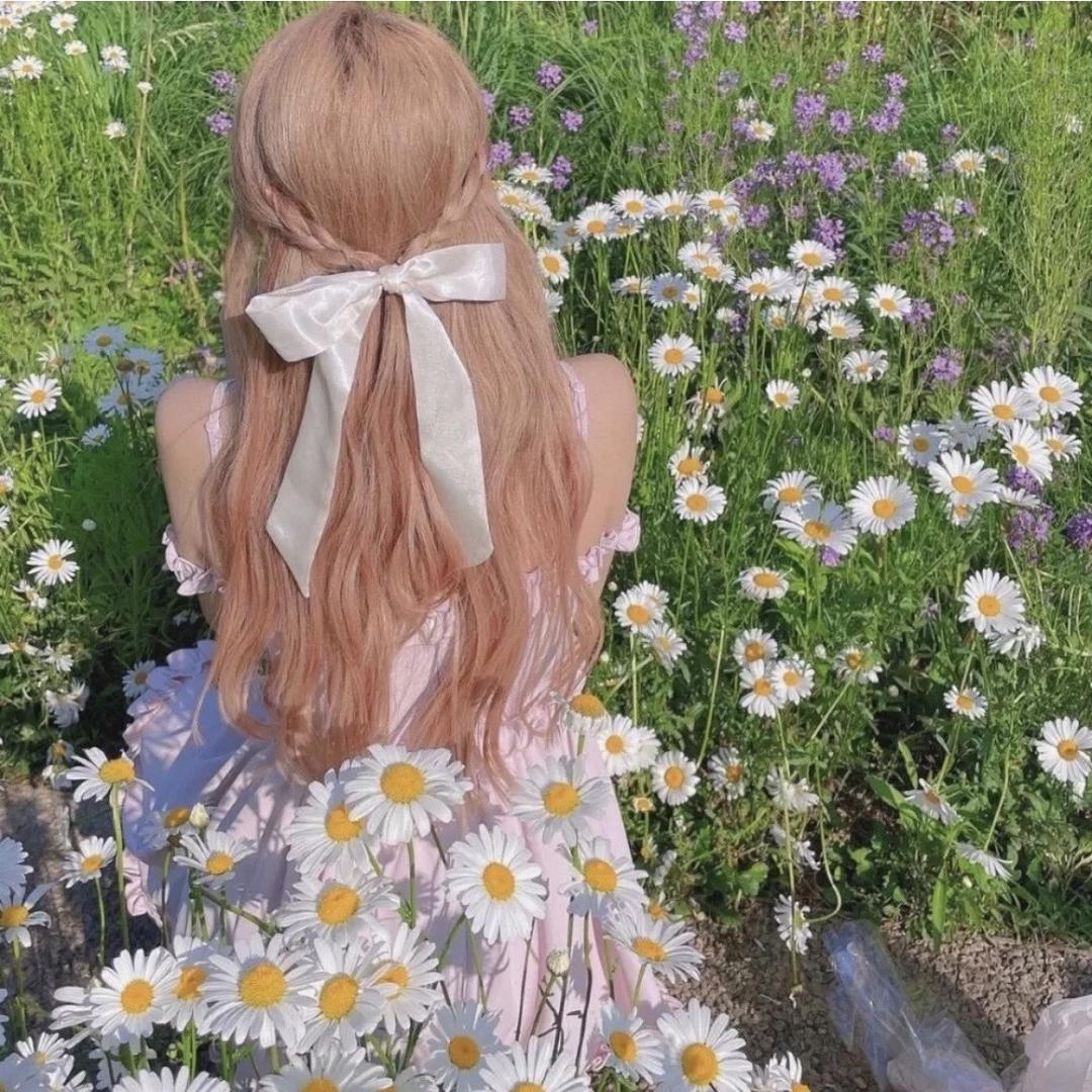 茜茜的花园