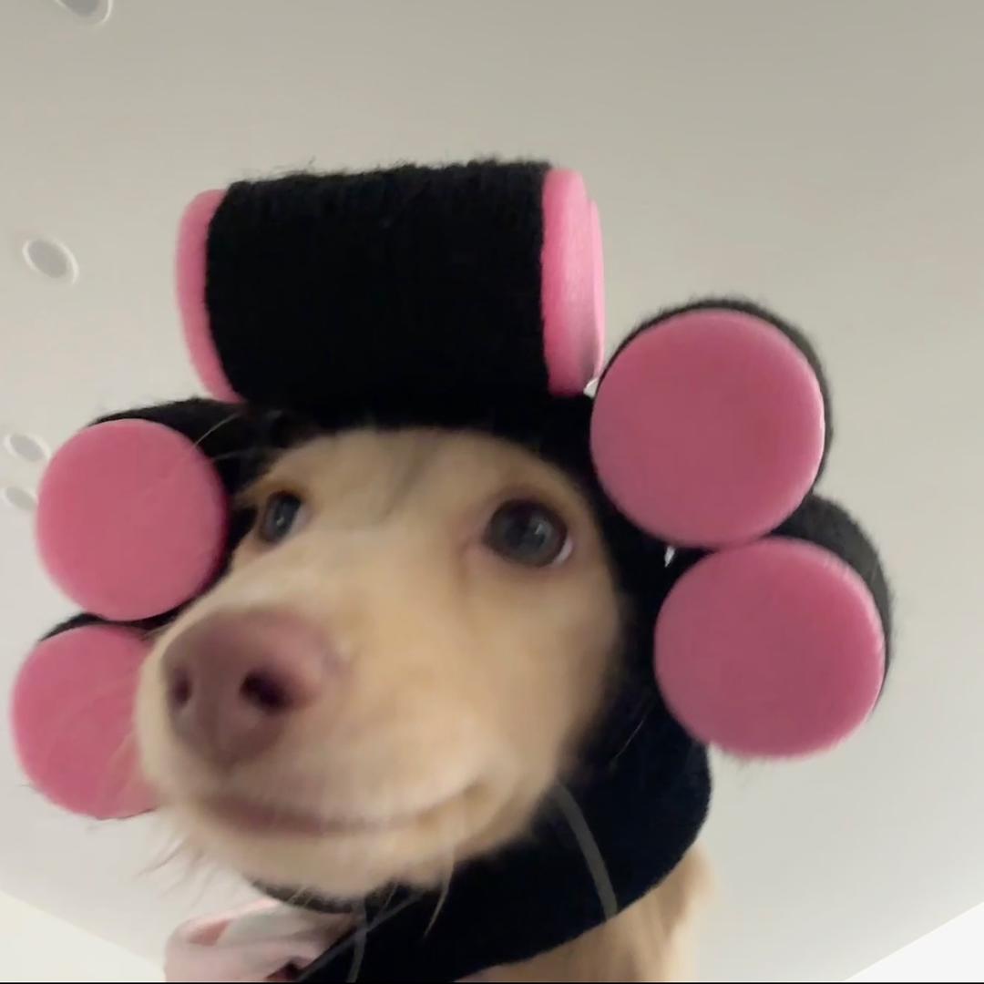 H鑫