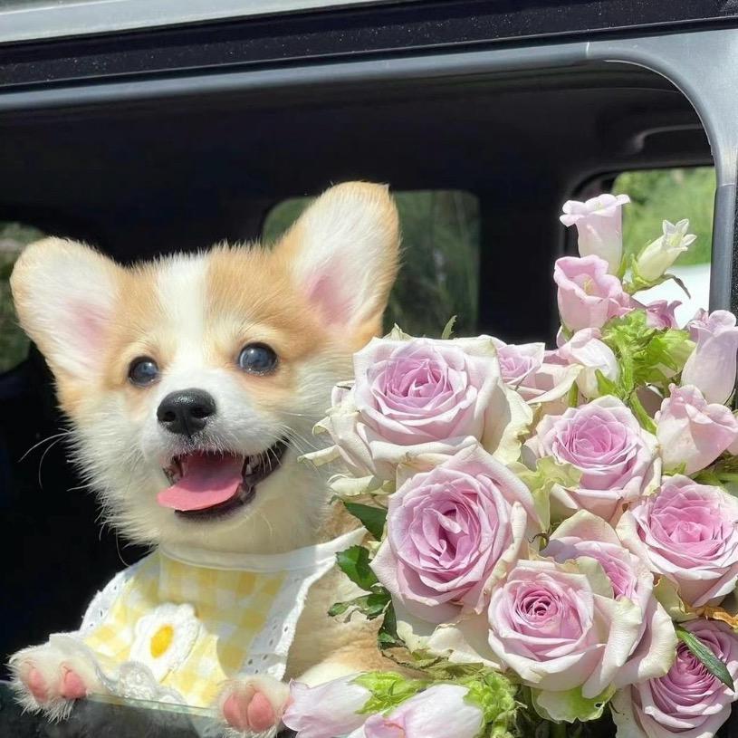 心已归零ོ❃⁀ღ꯭᭄