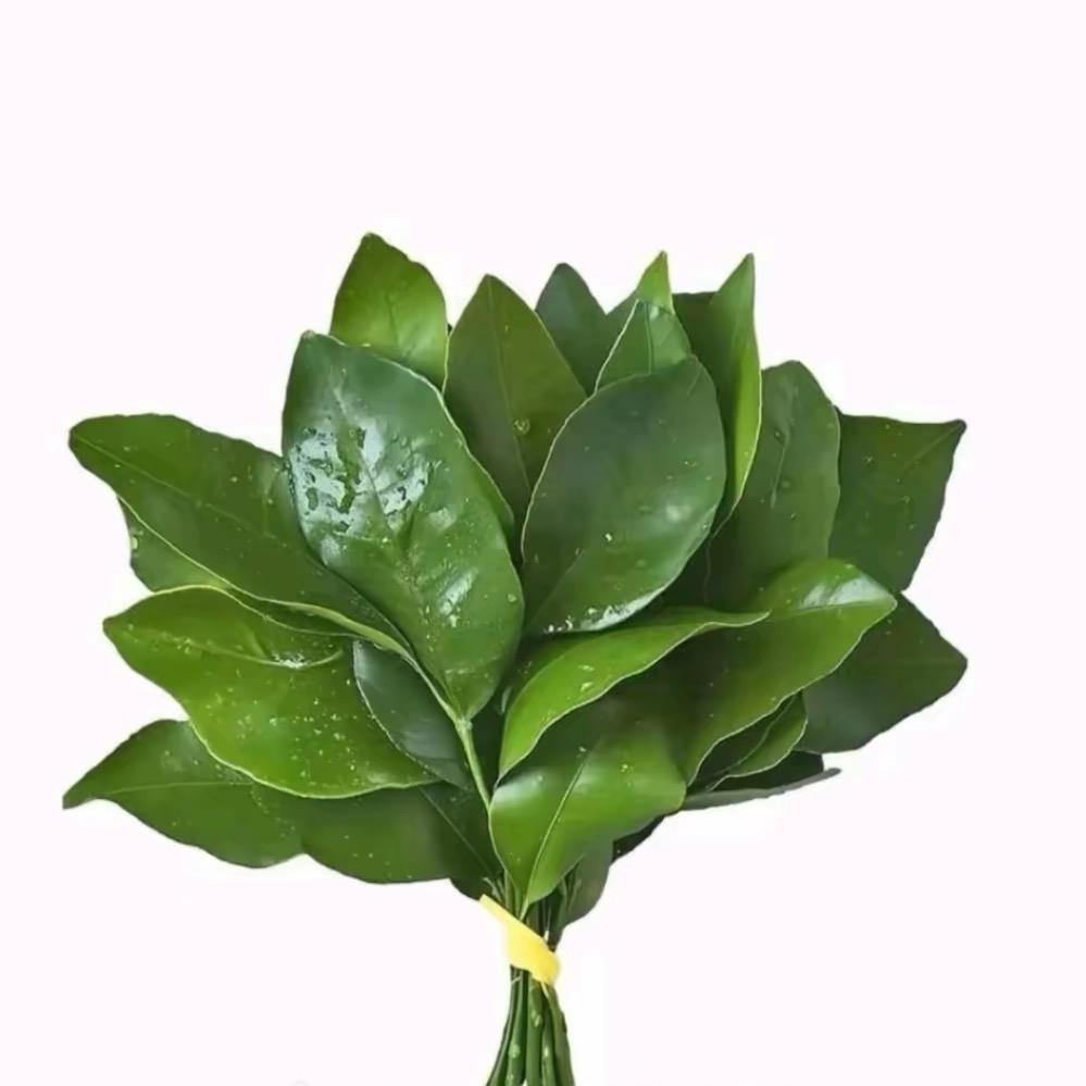 炒鸡蛋