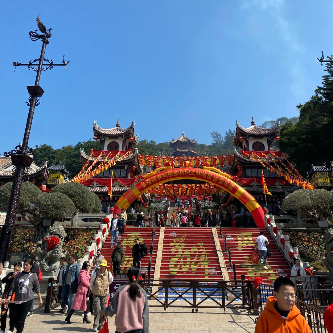 拥抱阳光