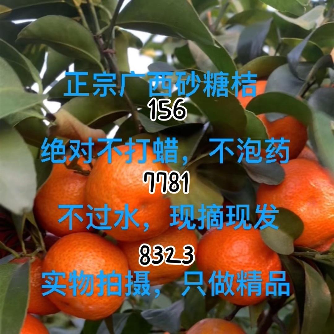 九万山农家人