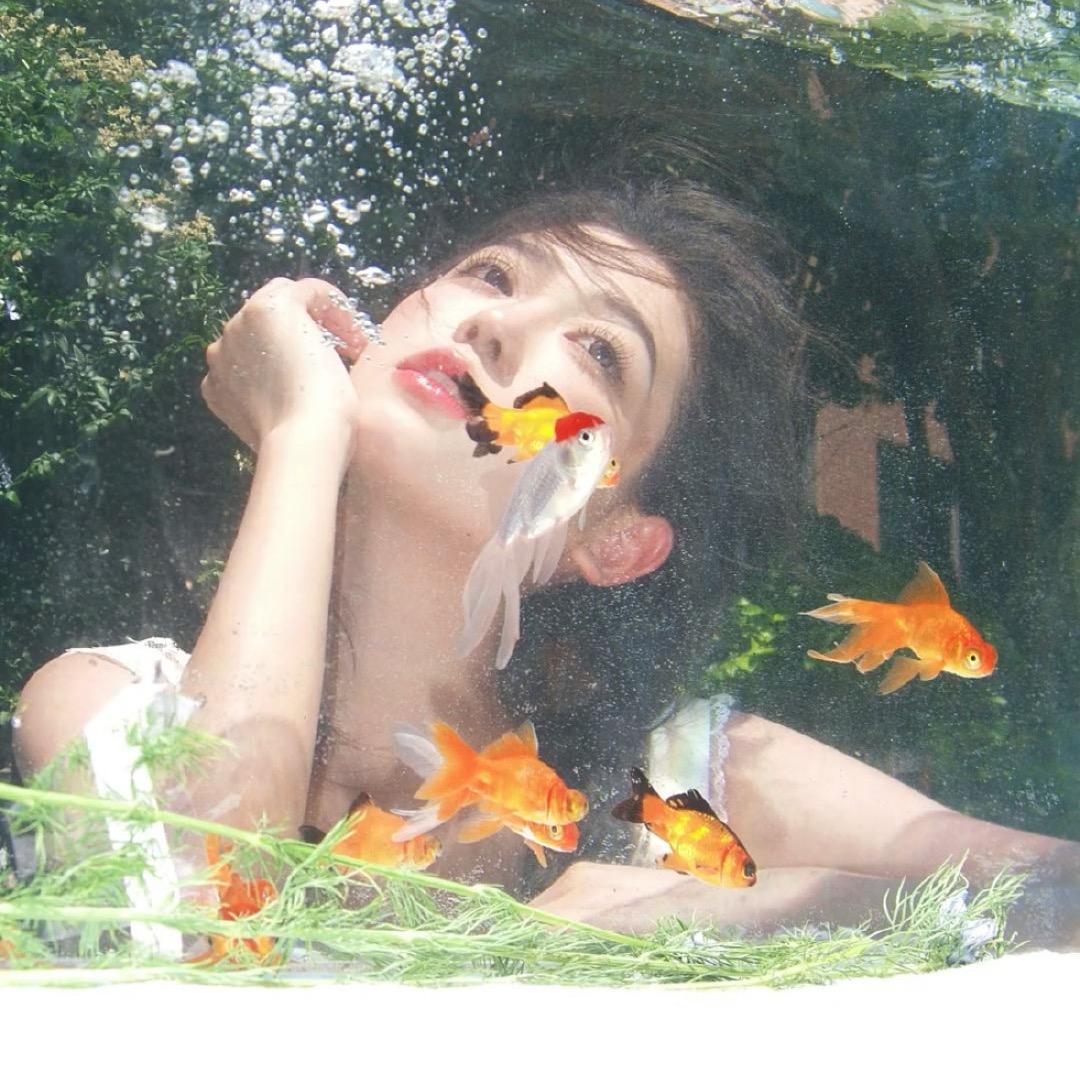 脆脆鲨🦈