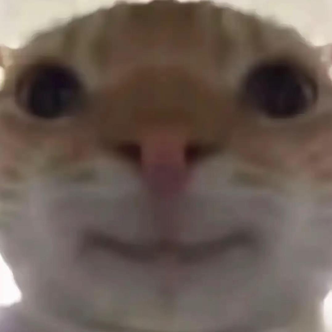 S1t