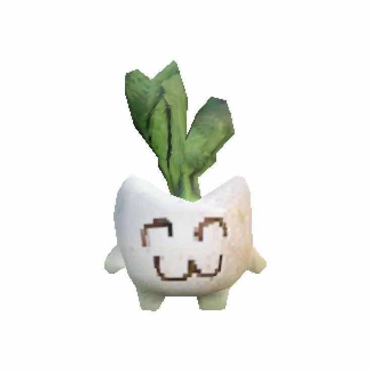 洋芋国公主和海豆儿