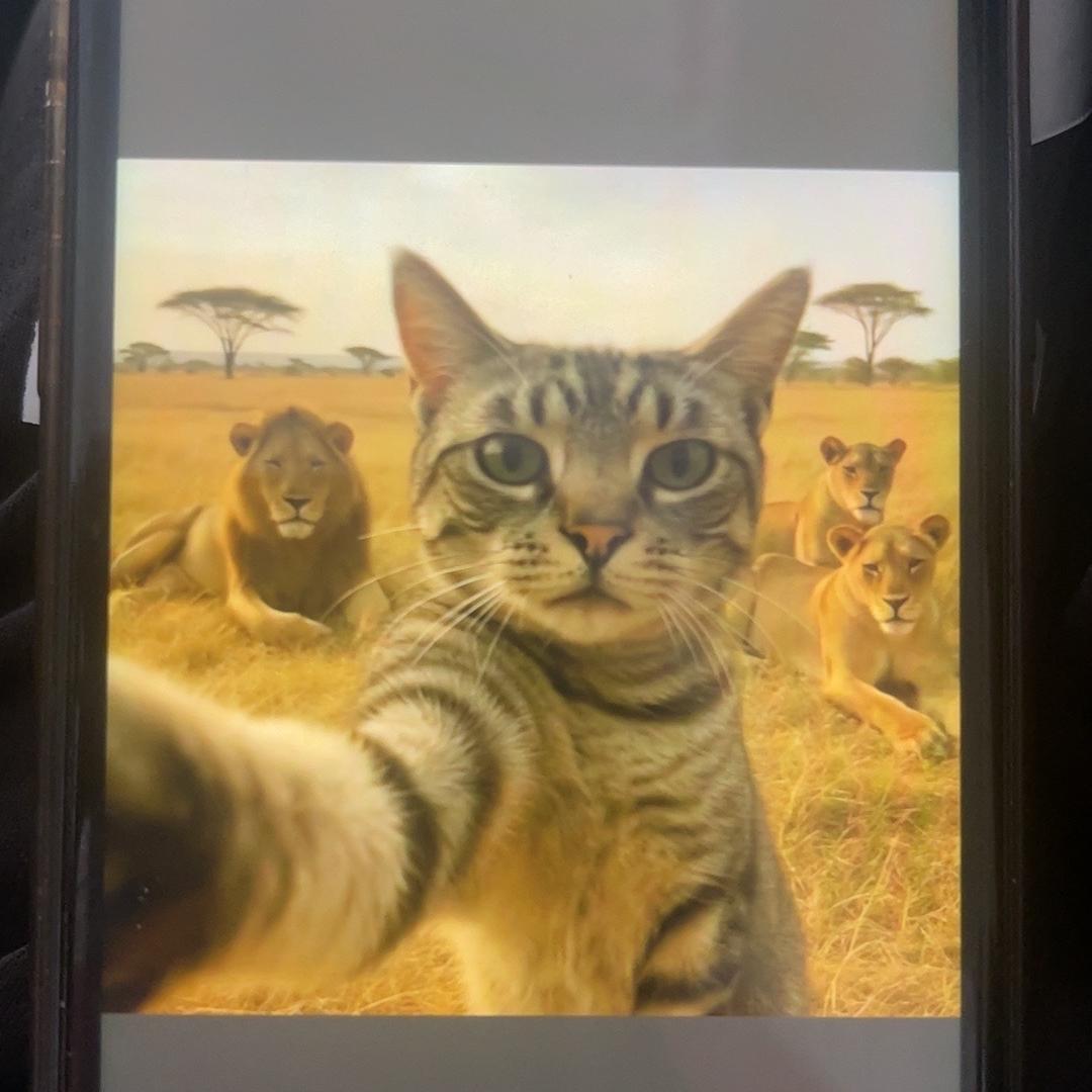 广州奥久日机械严选工厂店