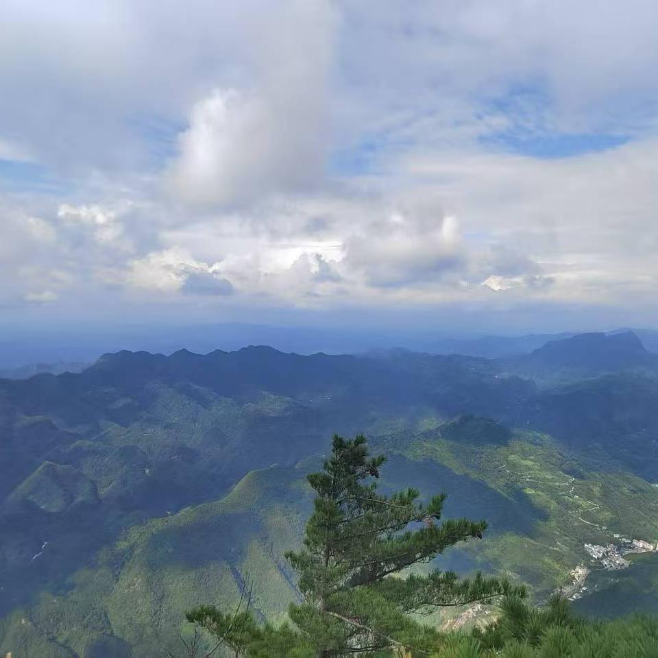 阿昊往前冲
