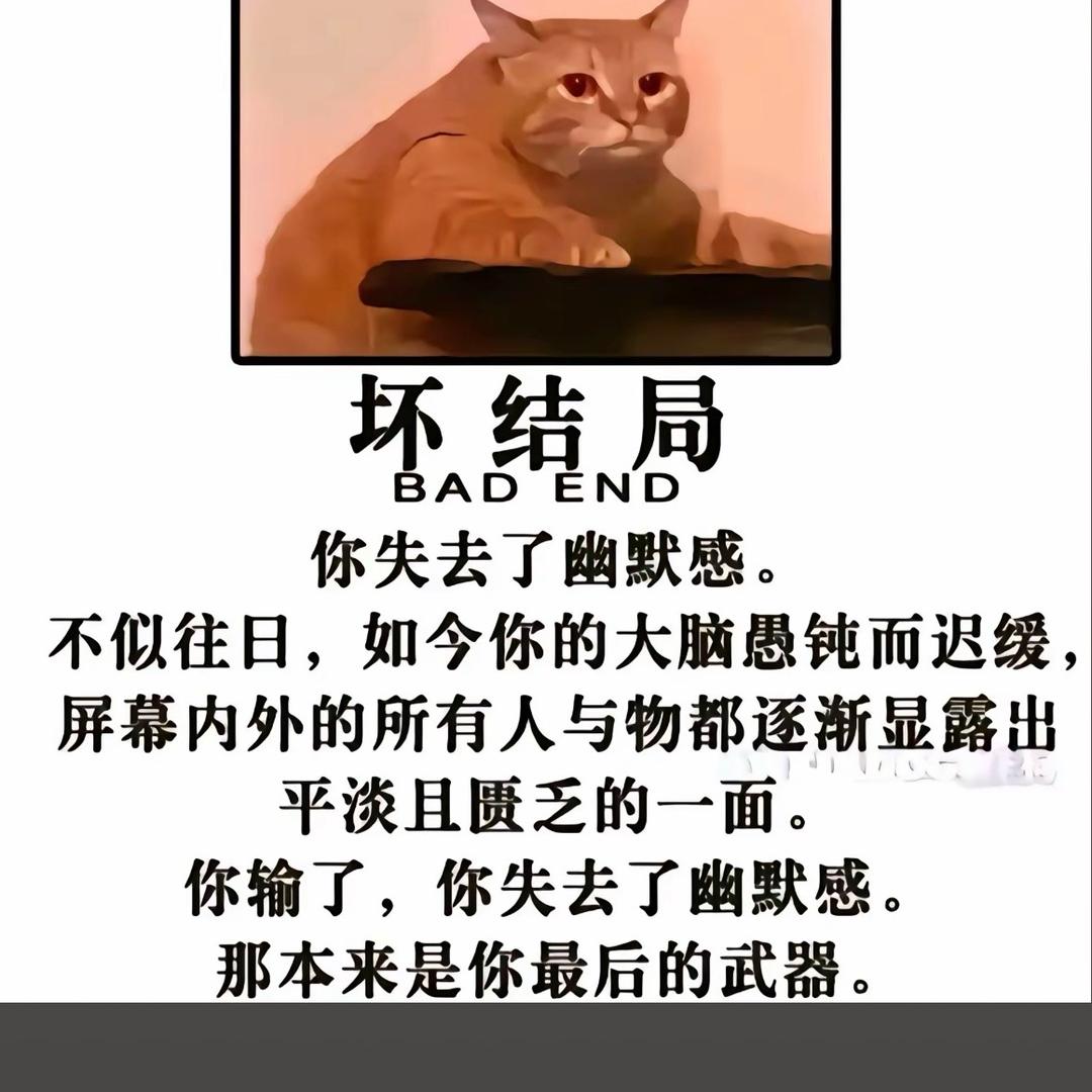 重生之我在天猫卖海信