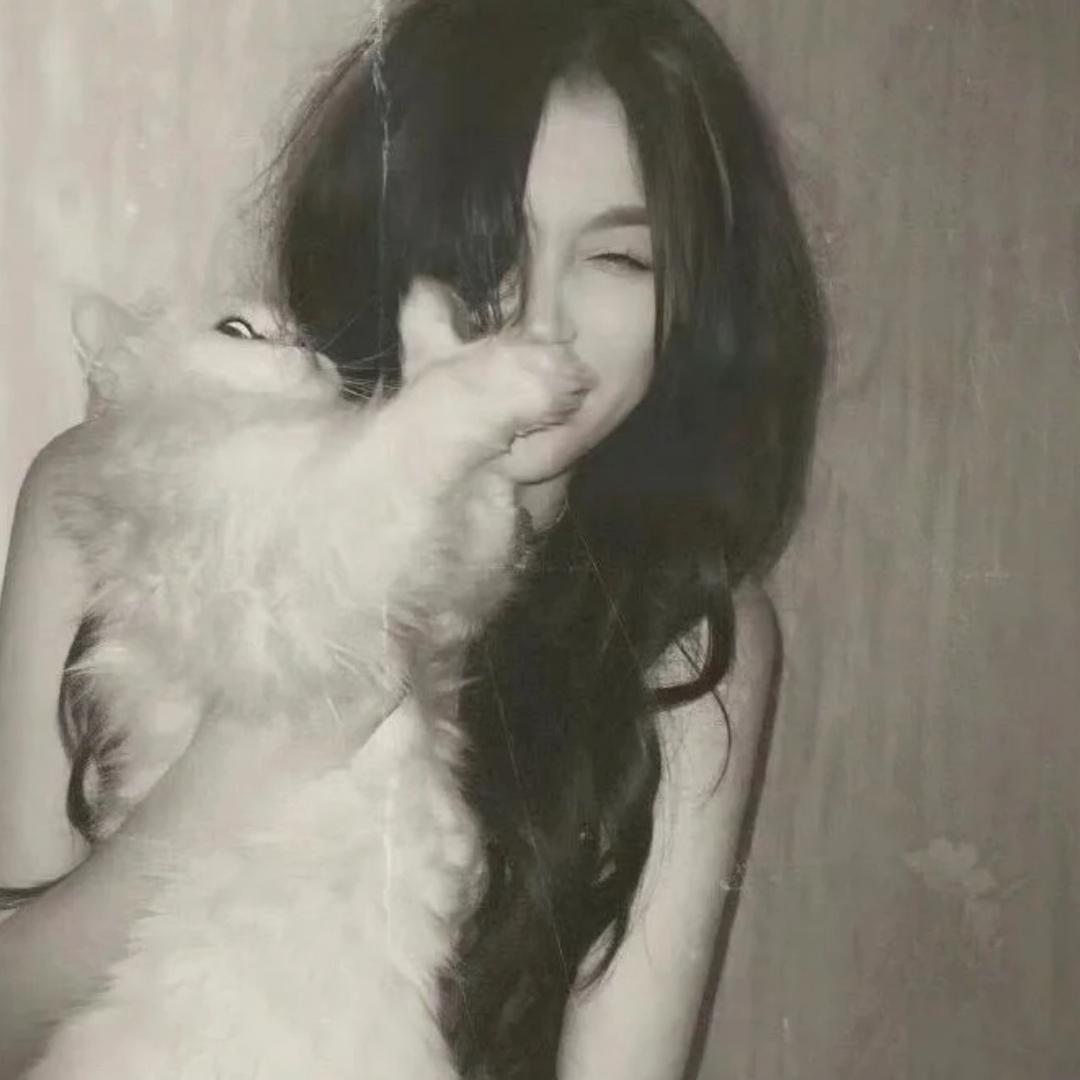 ZjieTwT
