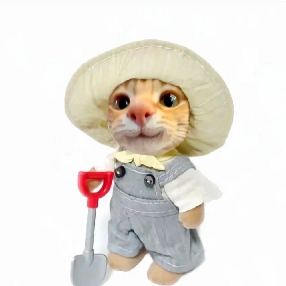 小小只