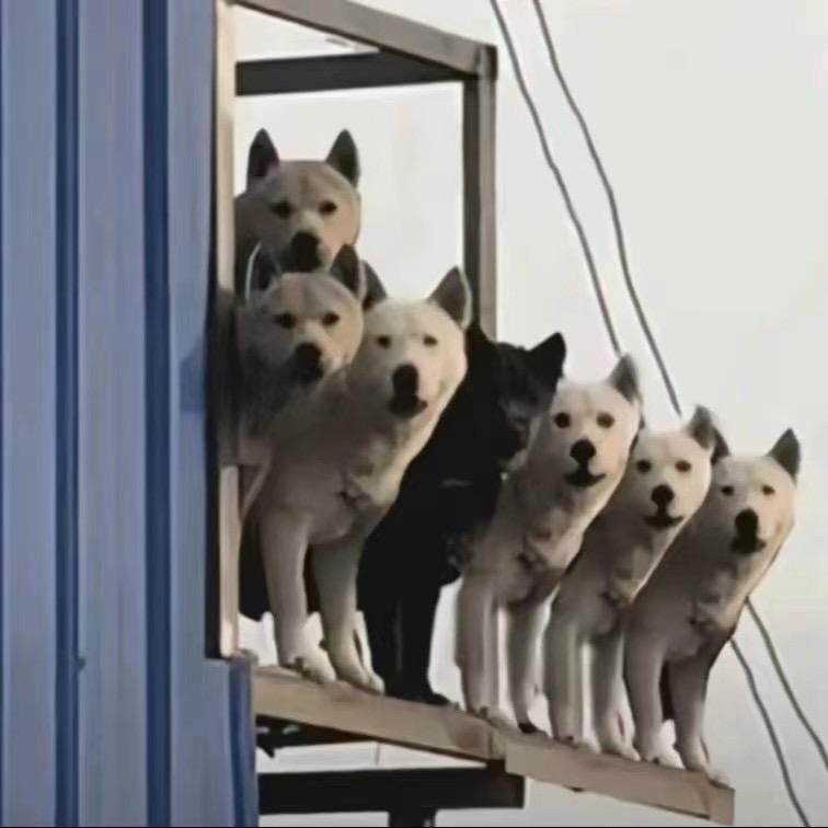 我就再吃一口就不吃了