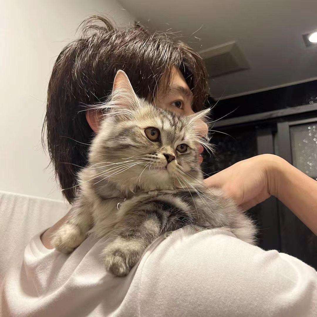 李糯糯~