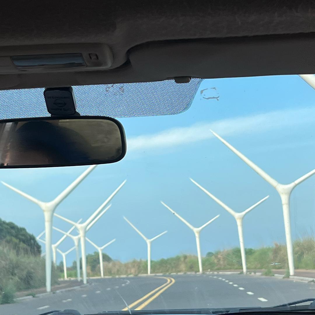 钢筋小姐姐（陪读）