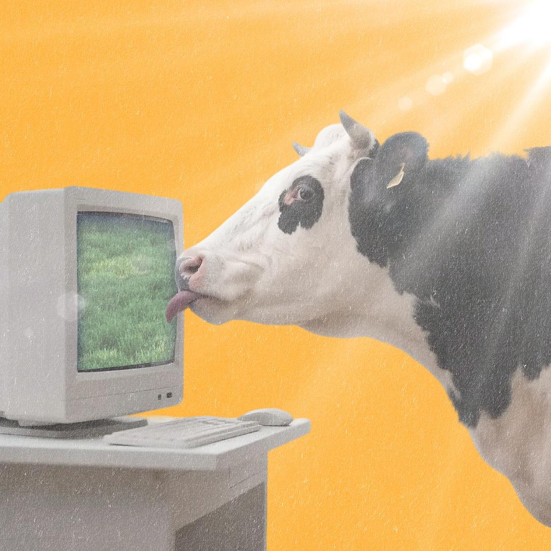 昆明说唱歌手RELAX