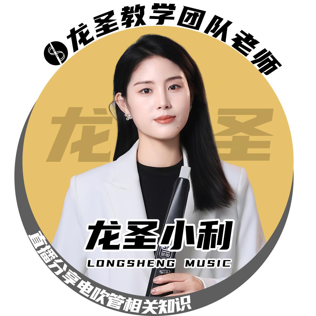 龙圣乐器-小利
