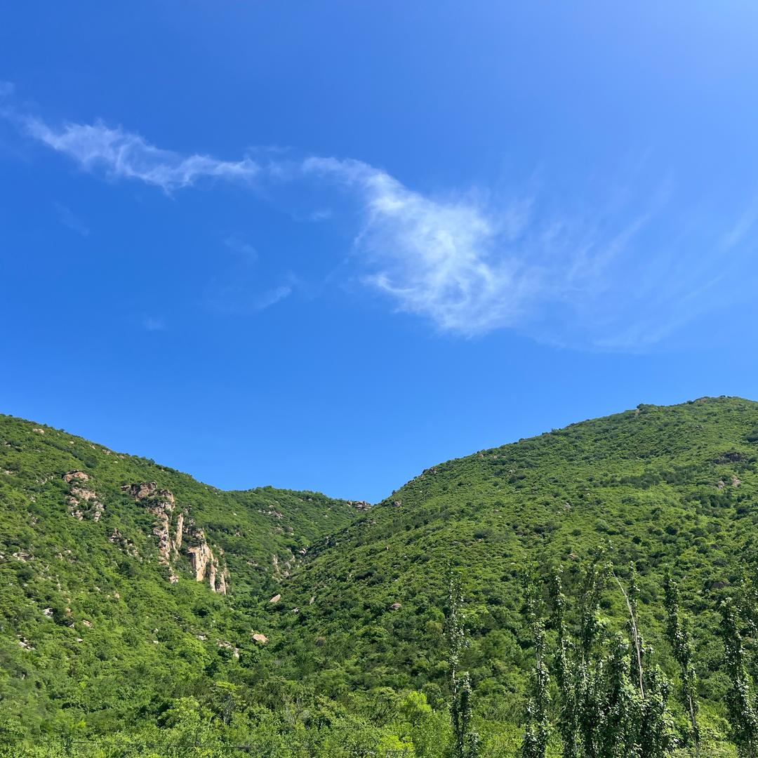 沐杨