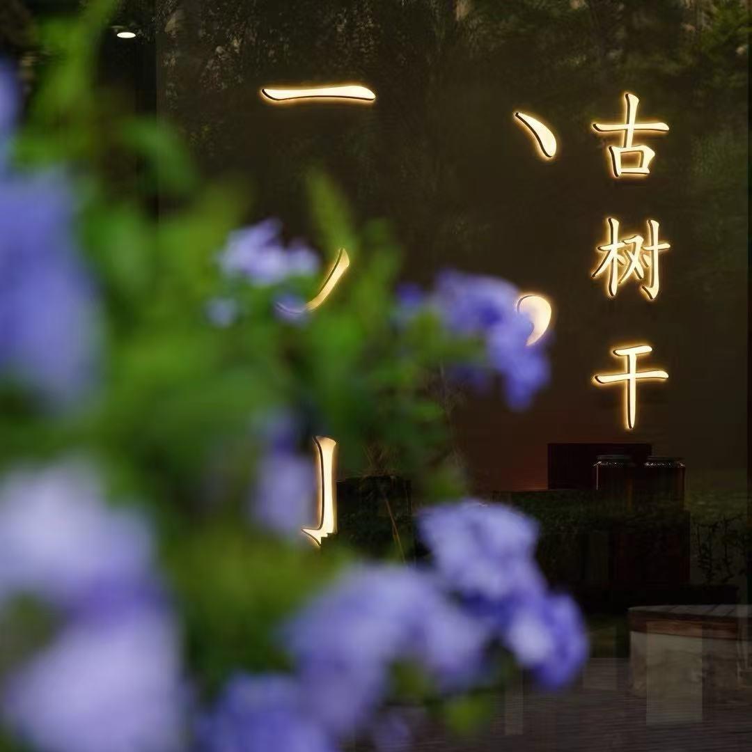 天街小雨
