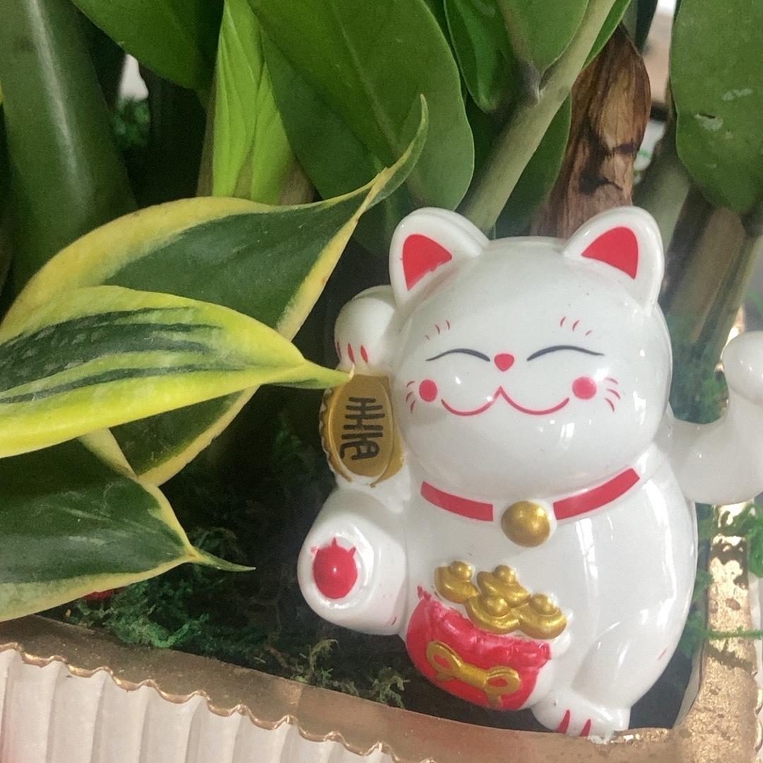 琴楷