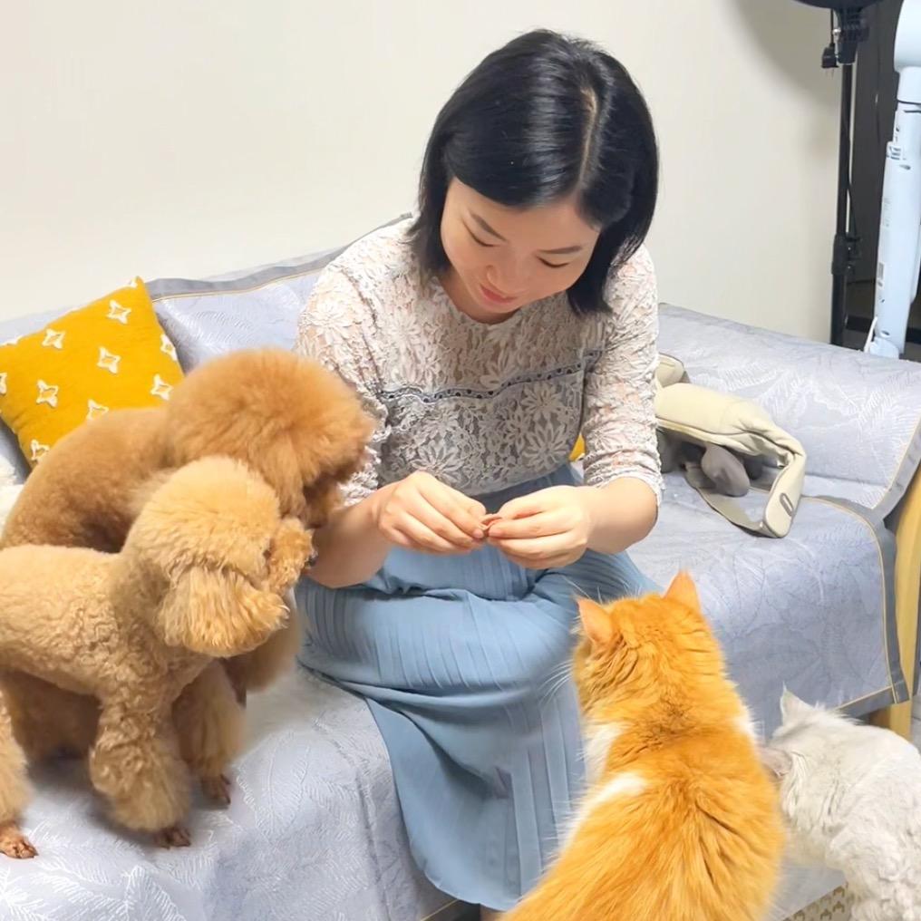 妙妈好多毛孩子