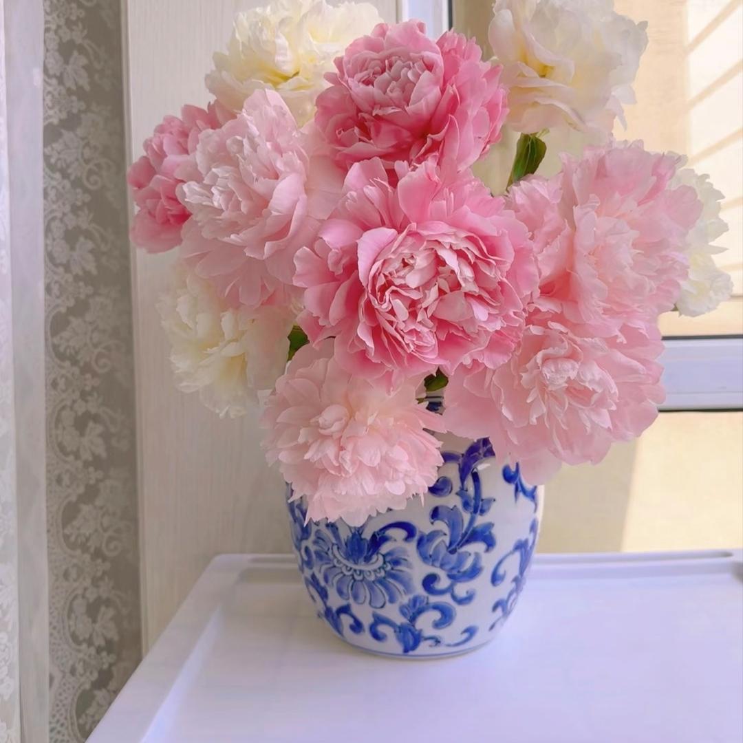 花韵菏泽·鲜切花基地直供