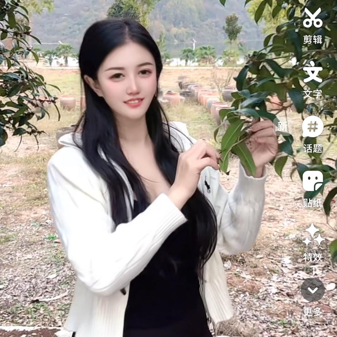 晚星