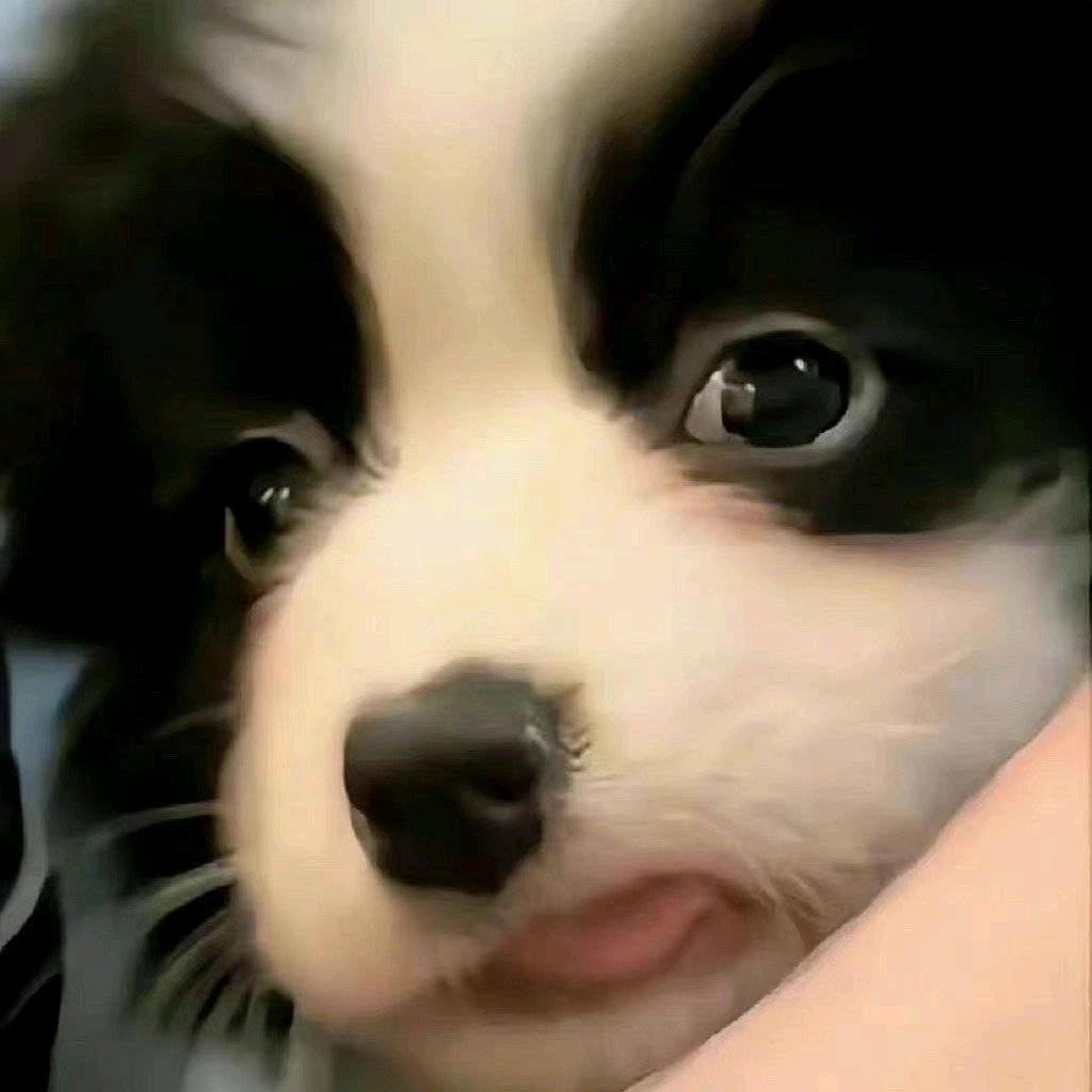 My的小窝🌷