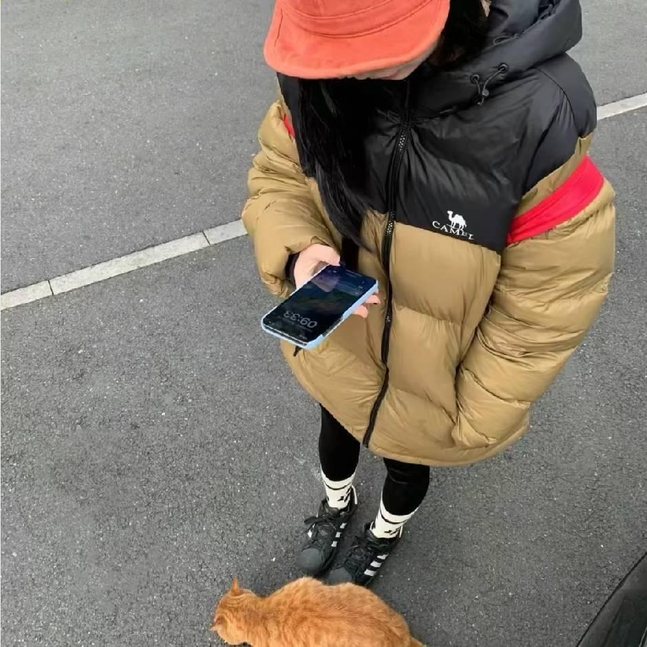什么