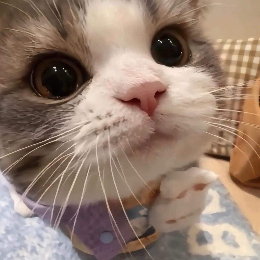 小卷儿🍥