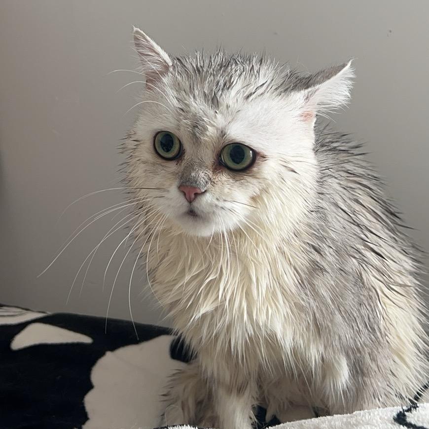 不知道写什么名